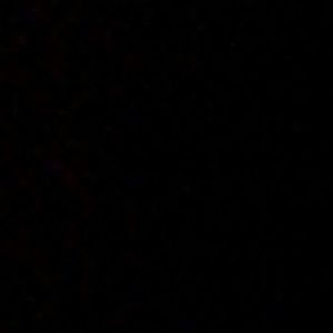 Meet your Posher, Lenae